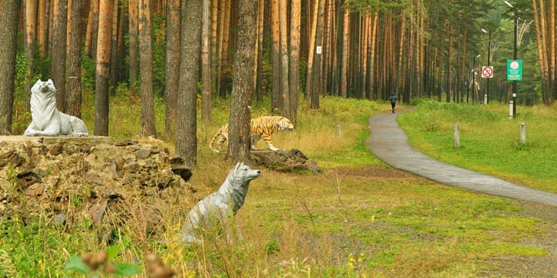 Тропа здоровья